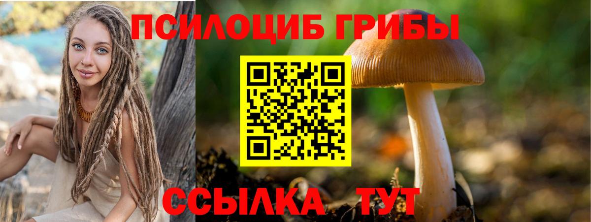 Галлюциногенные грибы мицелий Карачаевск
